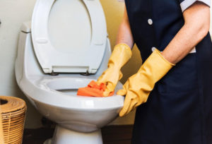 housekeeper cleaning a toilet