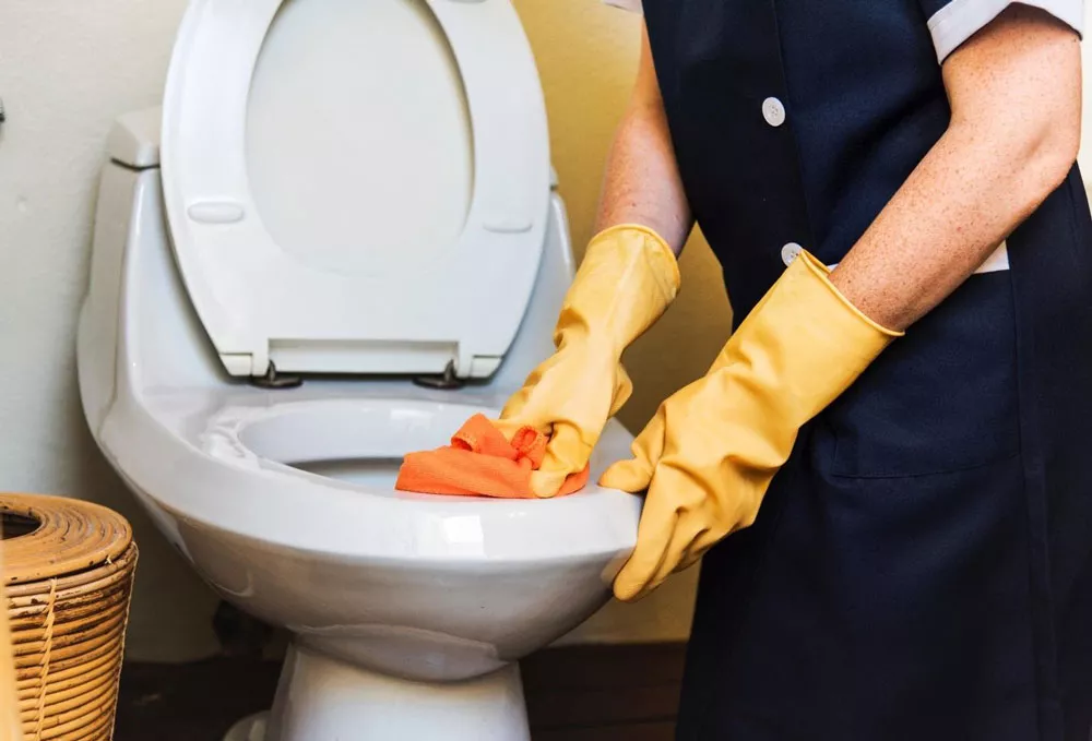 person cleaning a toilet