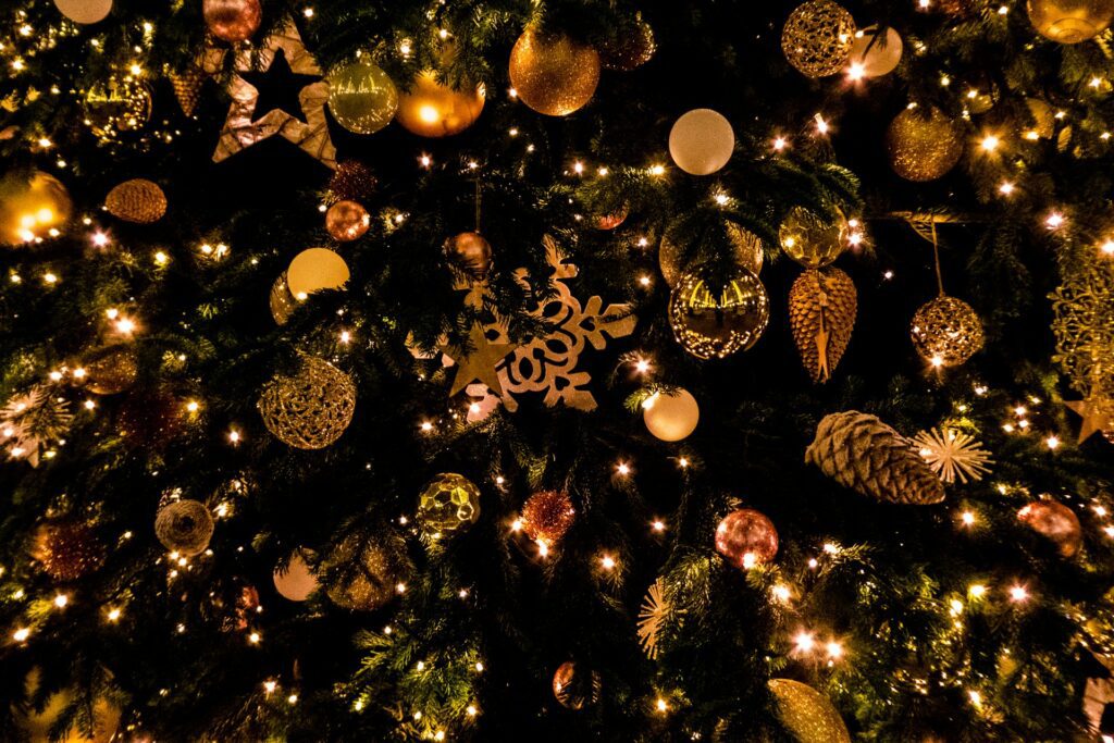 Christmas lights in San Diego