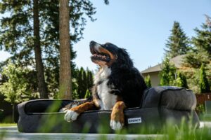 Improve Booking Rates In San Diego